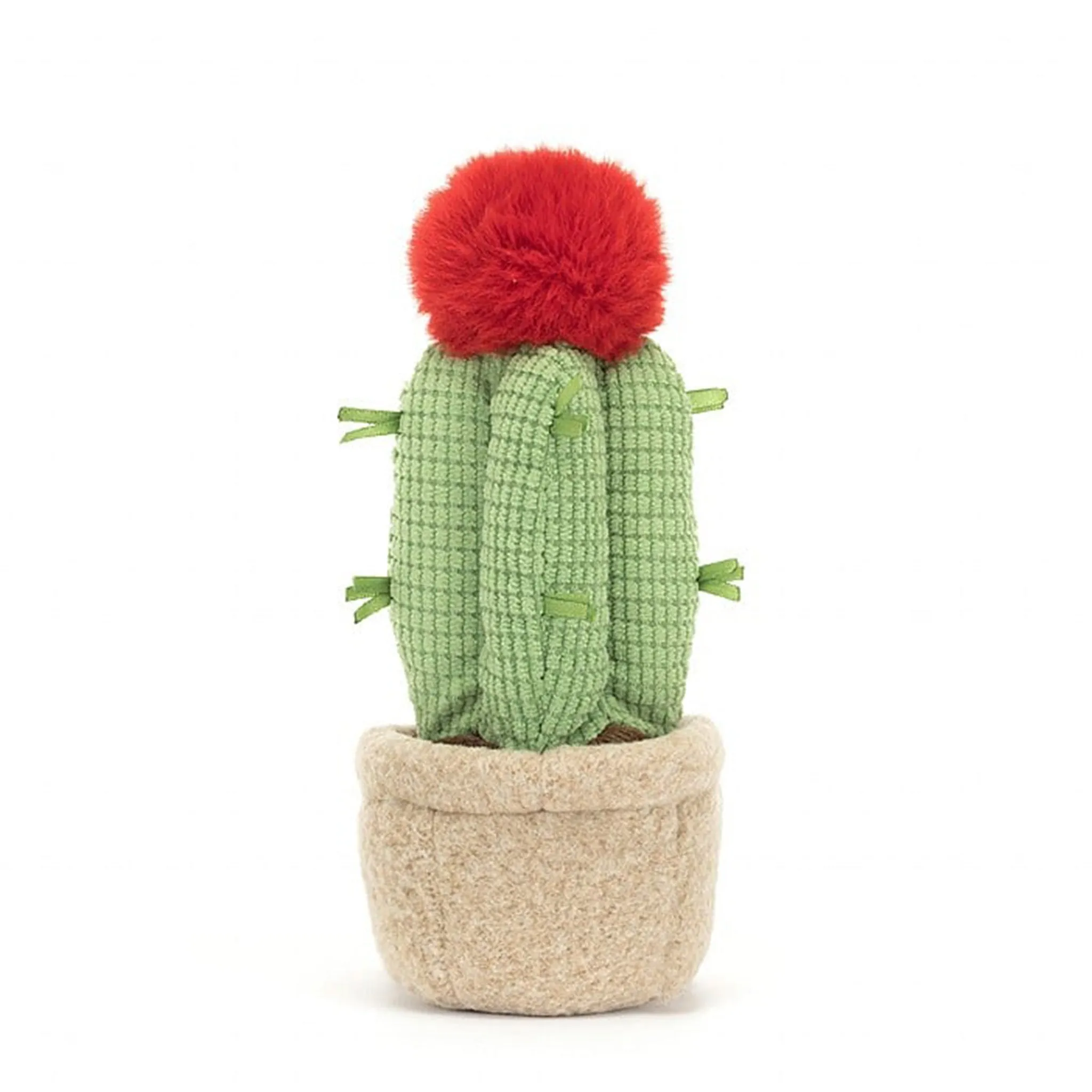 Amuseable Moon Cactus