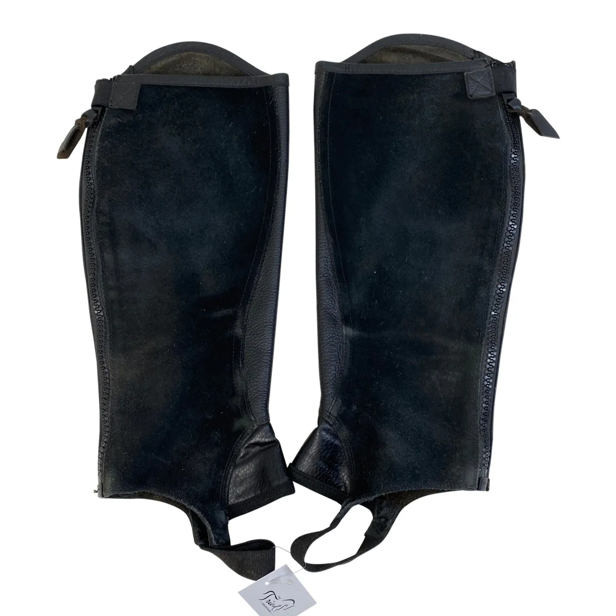 Ariat Concord Half Chaps in Black - XL (Reg/Wide)